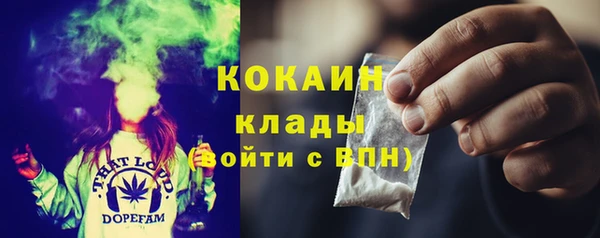 шишки Баксан