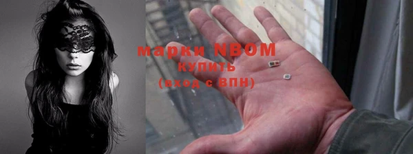 шишки Баксан