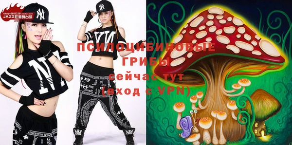 шишки Баксан