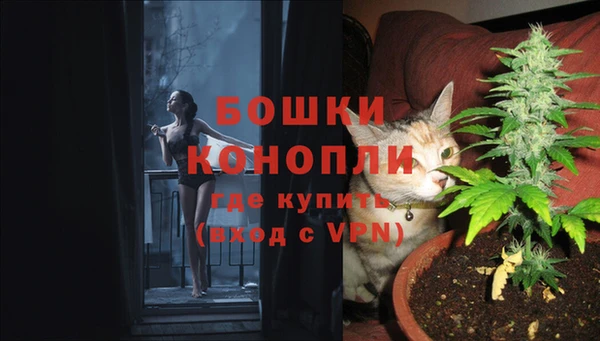 jwh Белокуриха