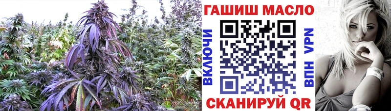 Купить где  Мариинский Посад  Дистиллят ТГК THC oil 