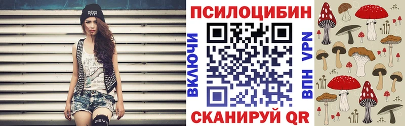 Купить где  Мариинский Посад  Псилоцибиновые грибы Cubensis 